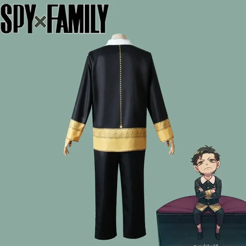 Damian Desmond Cosplay Adult C - مراجعة Spy Family Outfit وسعره